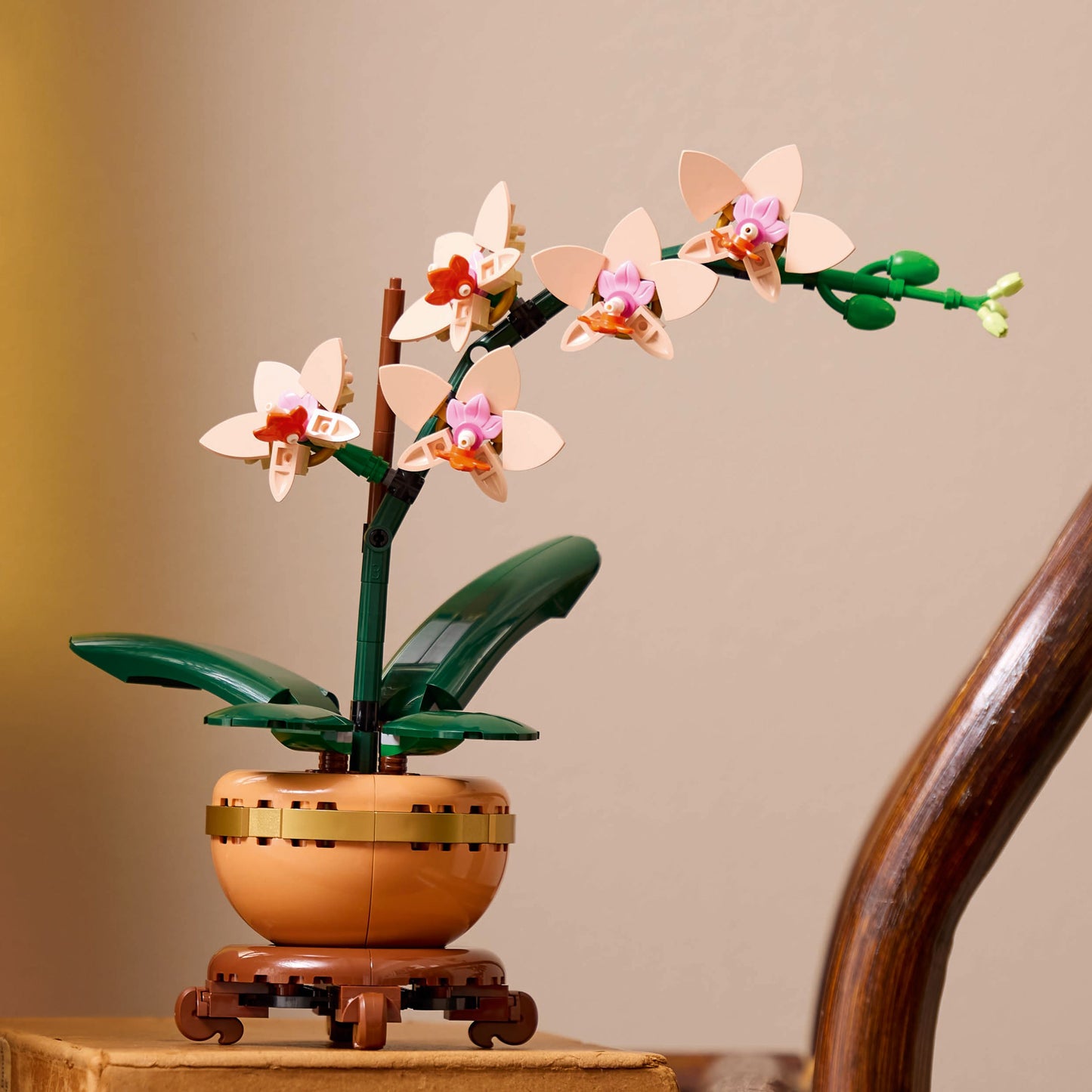 LEGO Botanicals Mini Orchid Plant Gift 10343 - Dian by Nimbus Labs