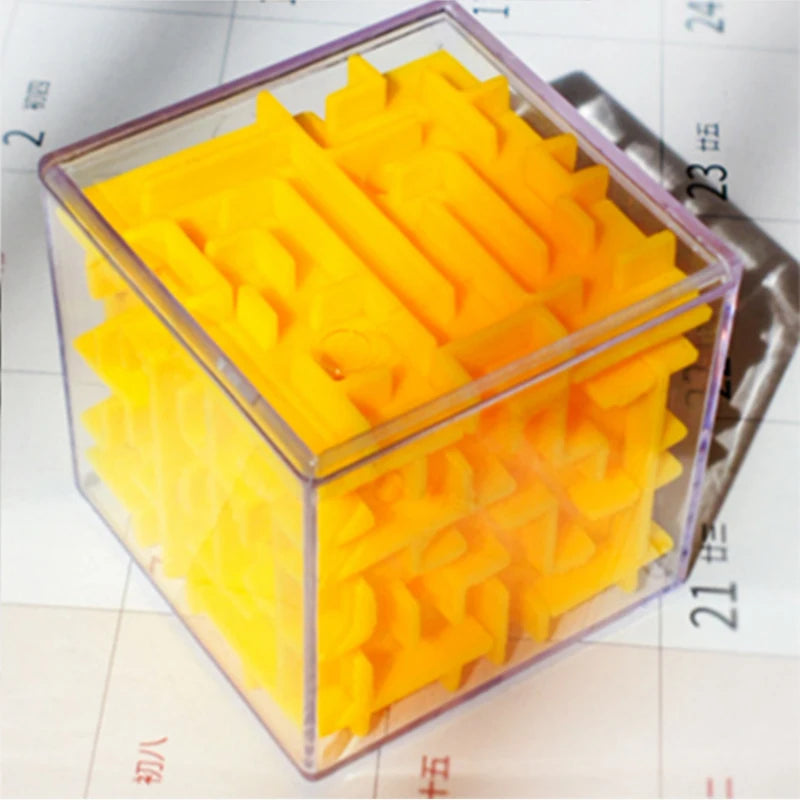 Maze Puzzle Educational Toy