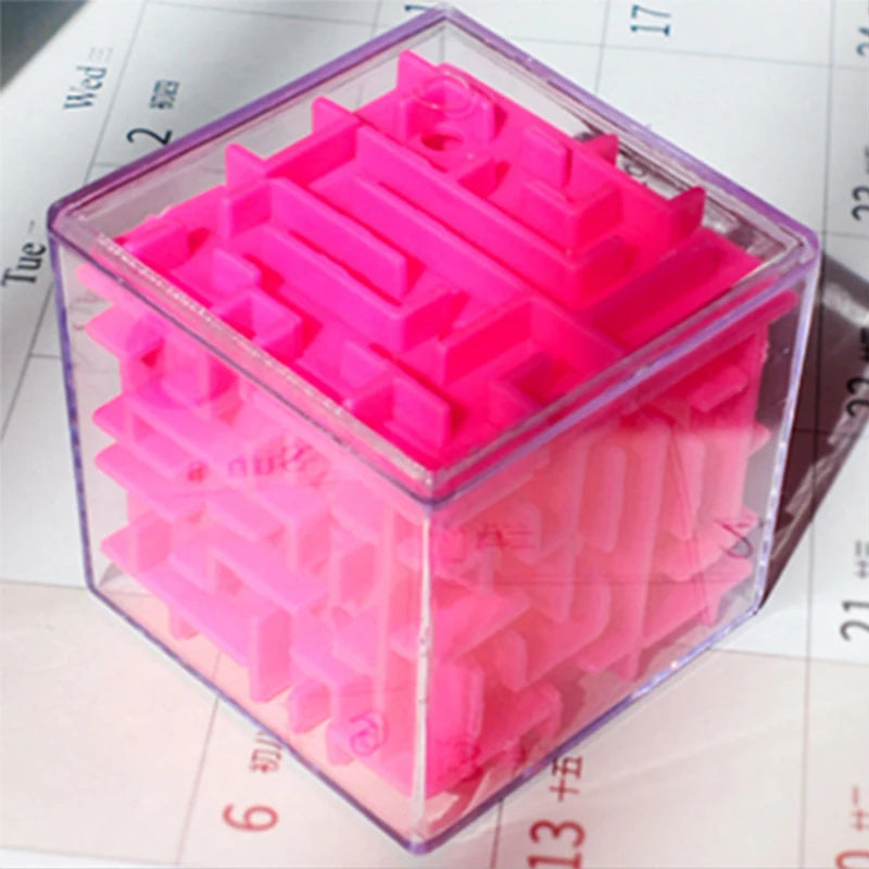 Maze Puzzle Educational Toy
