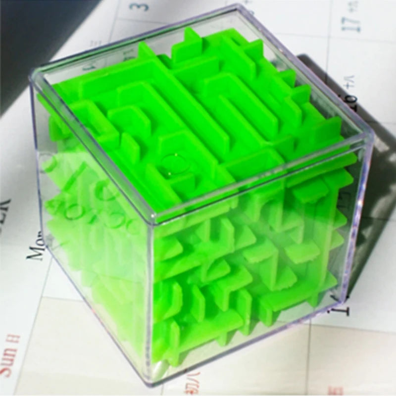 Maze Puzzle Educational Toy