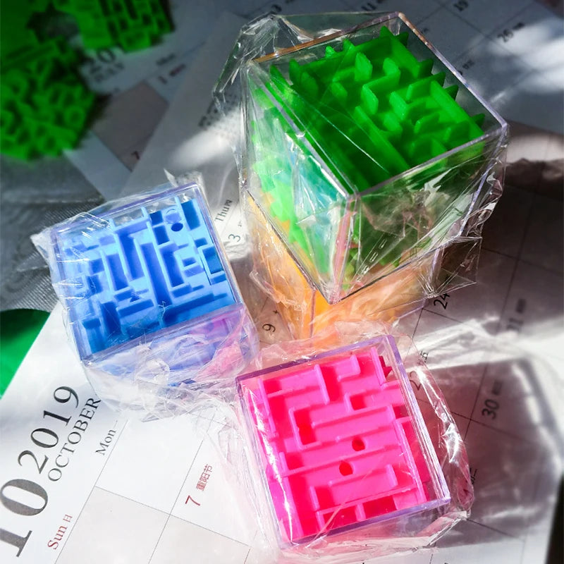 Maze Puzzle Educational Toy