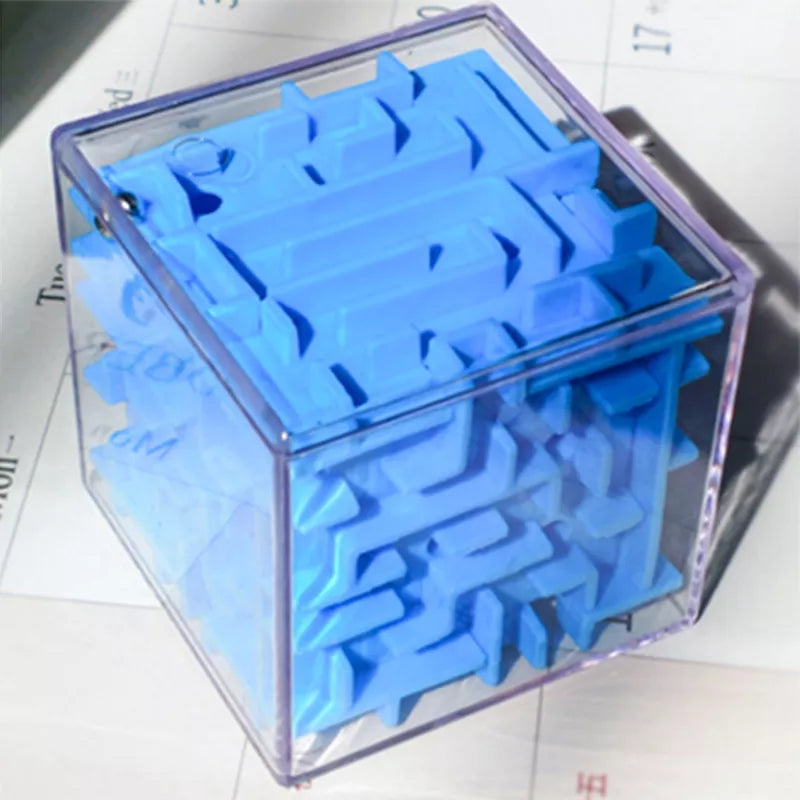 Maze Puzzle Educational Toy
