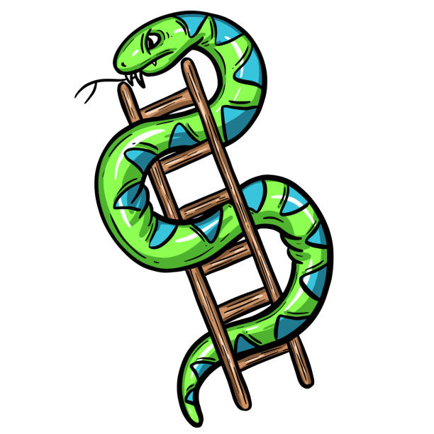 Snakes & Ladders Board Game