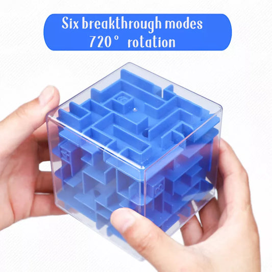 Maze Puzzle Educational Toy