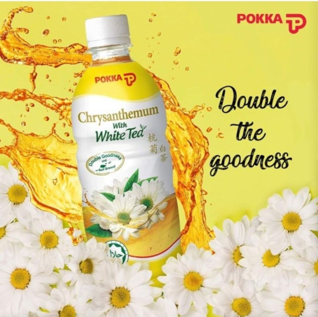 Pokka Chrysanthemum White Tea (500ML x 24s)