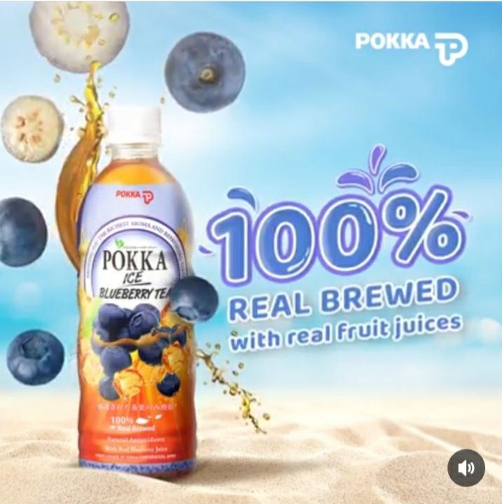 Pokka Ice Blueberry Tea (500ml x 24) Case