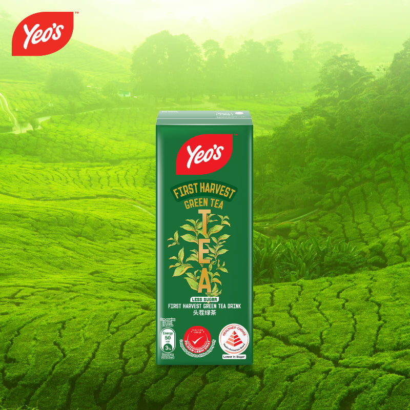 Yeo's First Harvest Green Tea Less Sugar (250ml x 6s) x 4